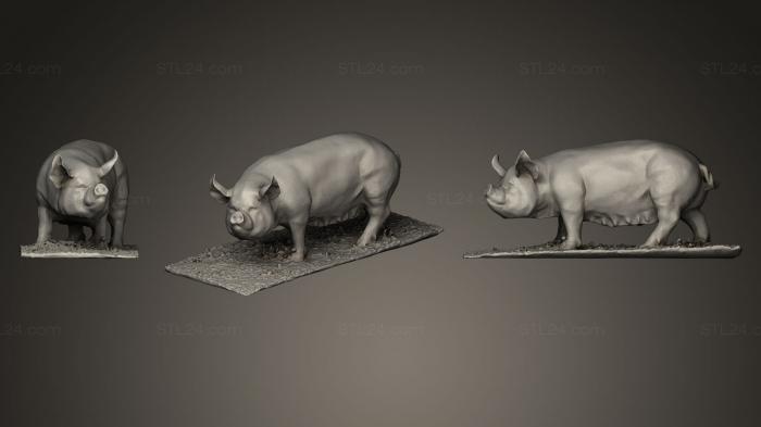 Статуэтки животных (Какая-то Свинья_2, STKJ_0442) 3D модель для ЧПУ станка